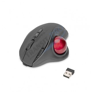 Մկնիկ ''Digitus'' DA-20156 trackball, wireless, 2400 DPI 